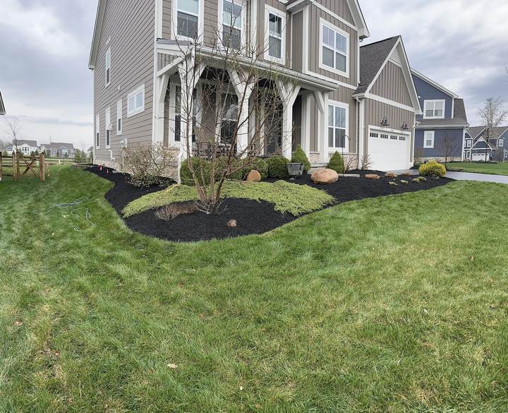 Curved front bed with fresh mulch and shrubs