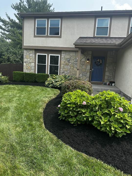 Freshly mulched and edged front bed with hydrangeas
