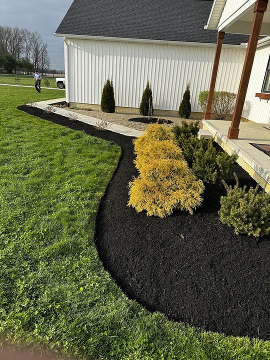 Mulched bed with yellow and green shrubs next to a porch