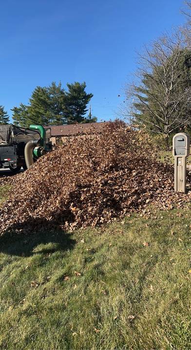 Large pile of leaves on a lawn next to a trailer-mounted leaf vacuum