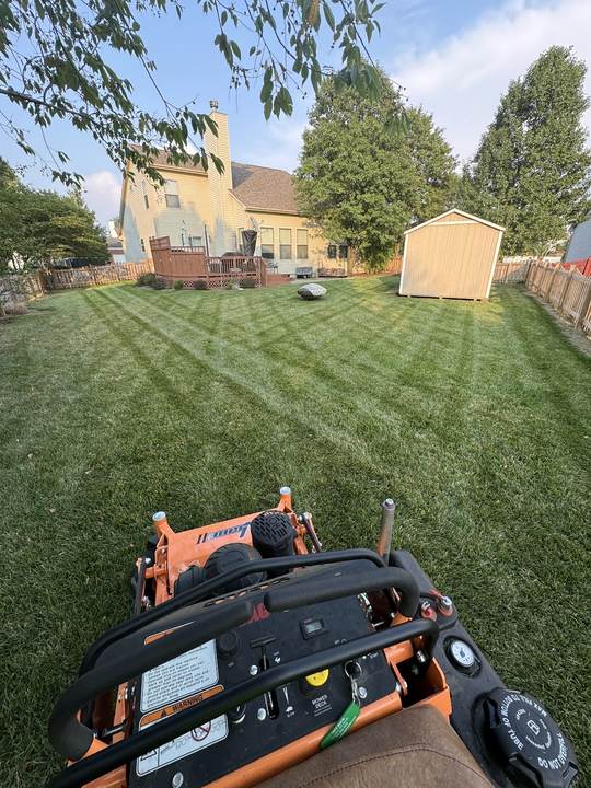 Freshly striped backyard lawn with a shed and a fence