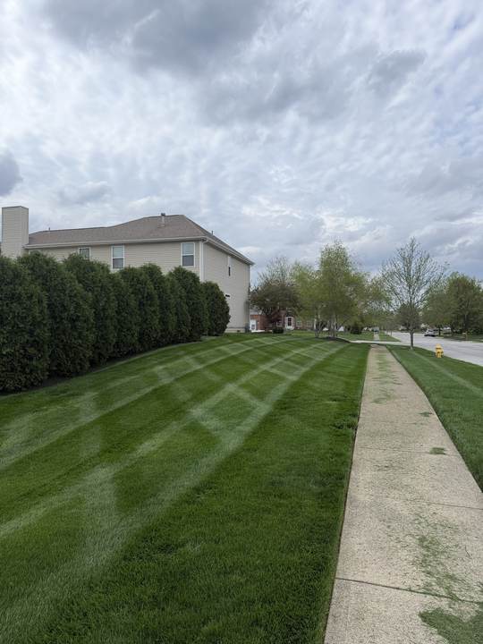 Diagonal mowing stripes along a sidewalk