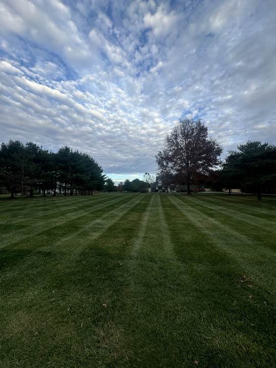 Long, straight mowing stripes across a wide lawn