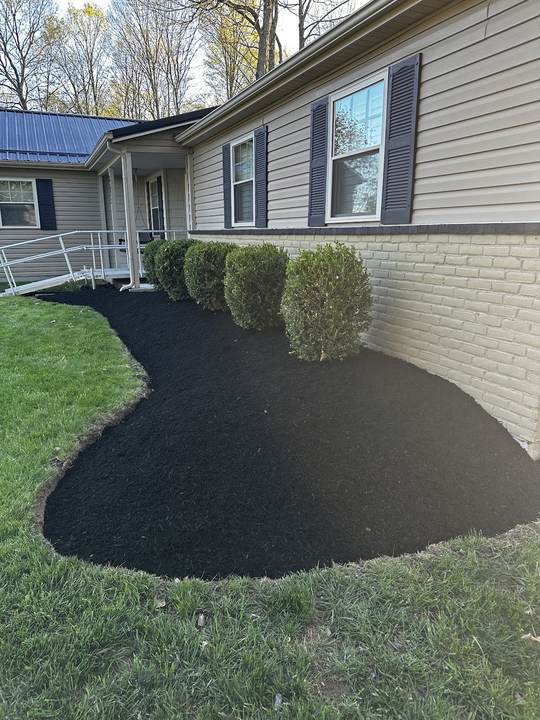 Black mulch bed with round shrubs along the side of a house