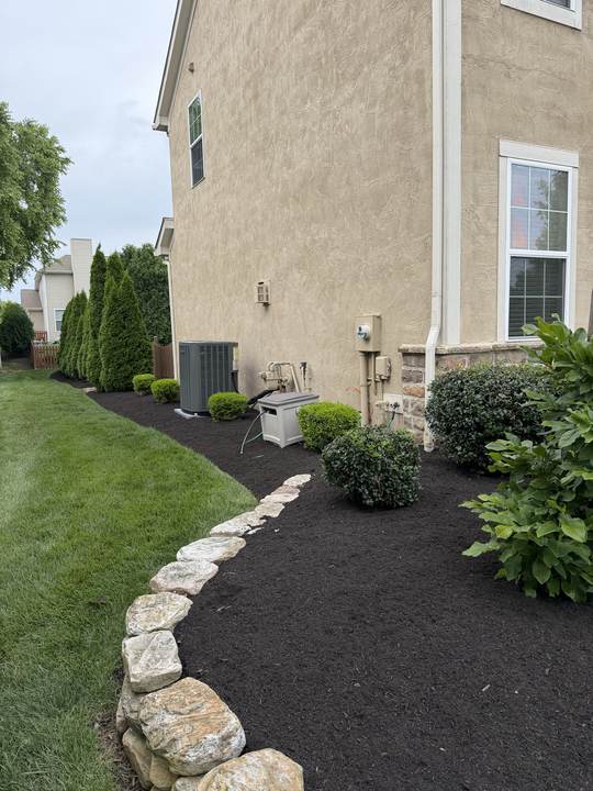 Side-yard bed with fresh mulch and a stone border
